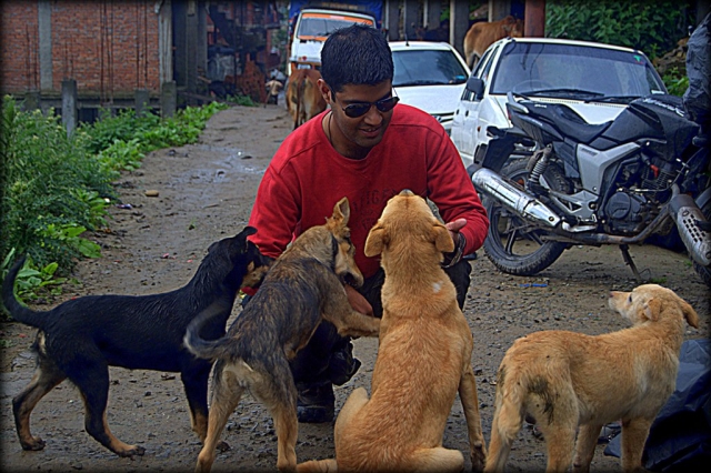 an indan man petting 4 dogs with a motorcycle in the background